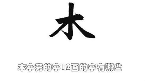 12劃屬木的字|木字旁12画的字